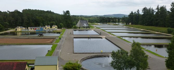 Lower Vartry Reservoir Dublin