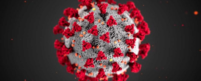 Coronavirus Image